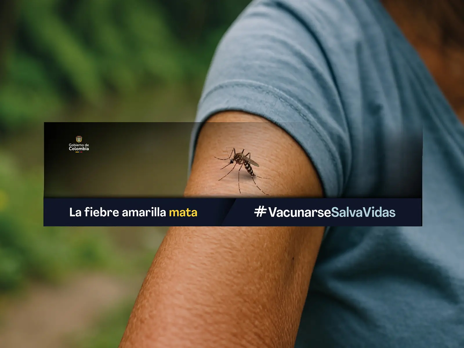 Noticia Imagen